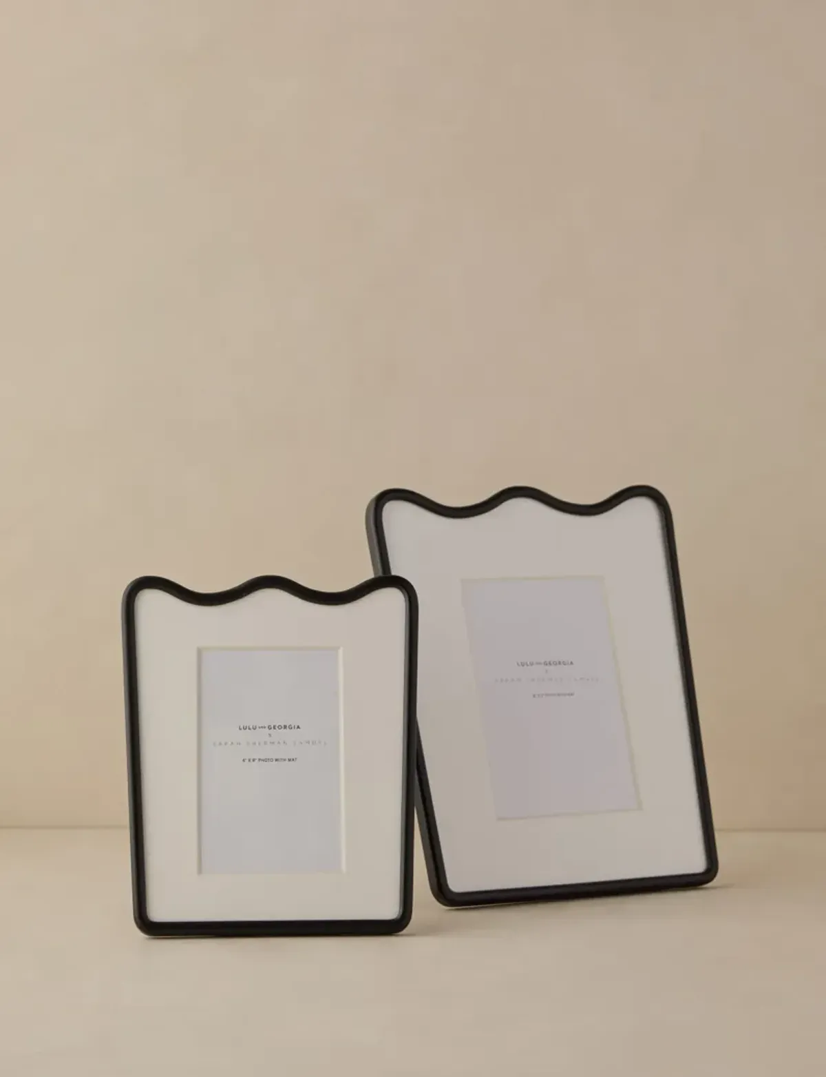 Rook Picture Frame by Sarah Sherman Samuel