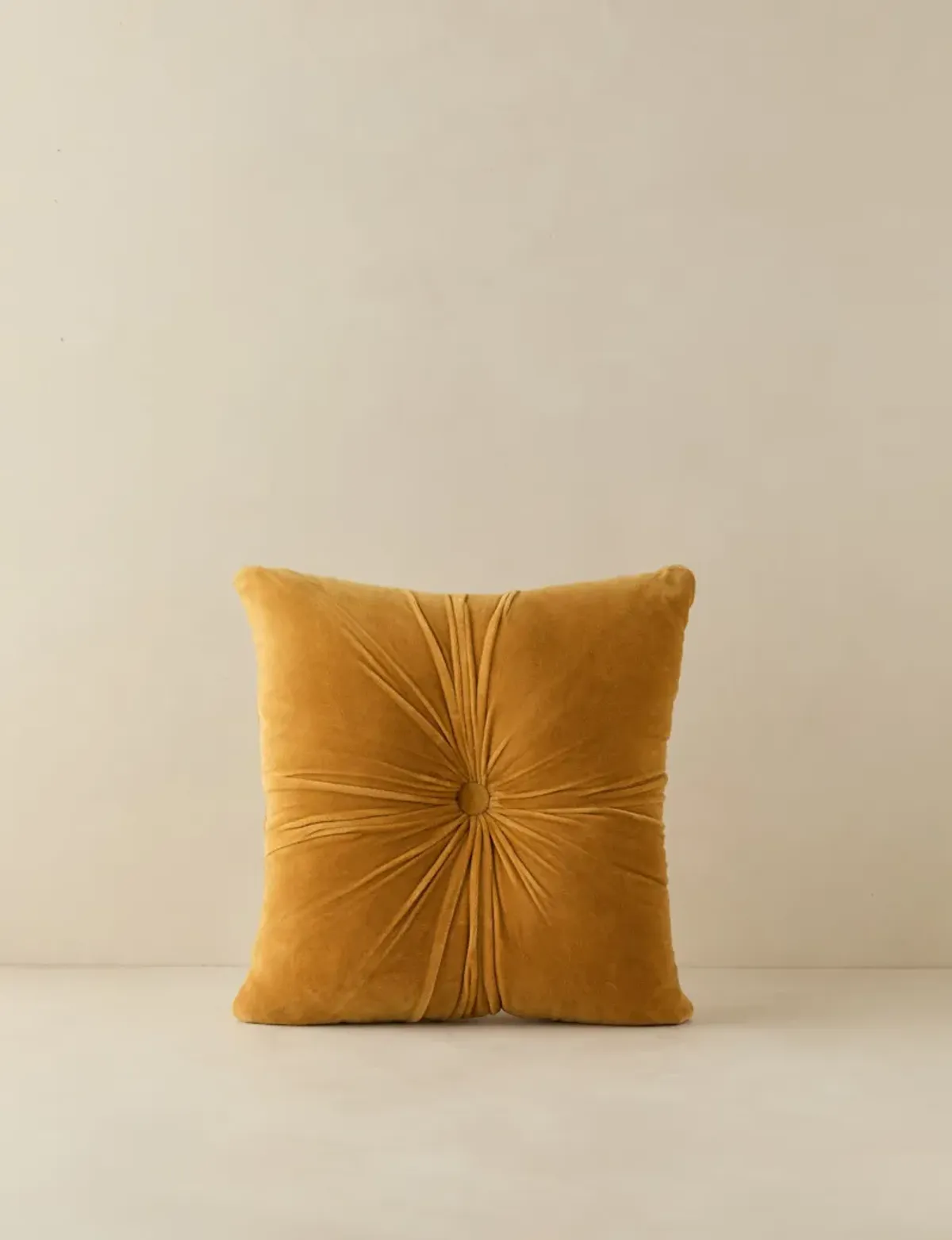 Monroe Velvet Pillow