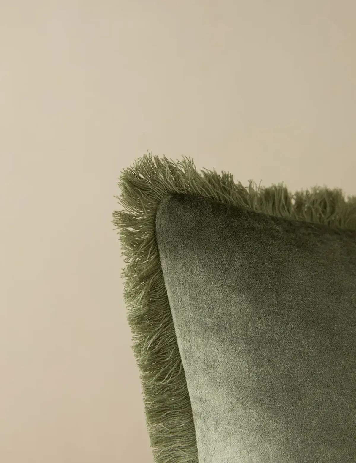 Brandis Velvet Pillow