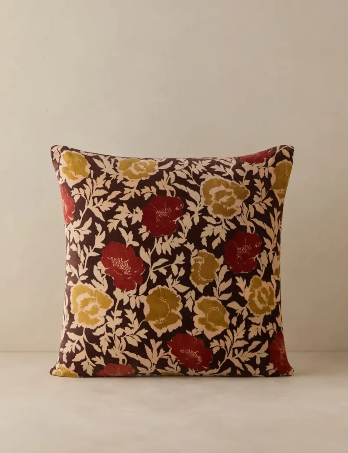Corabel Velvet Pillow