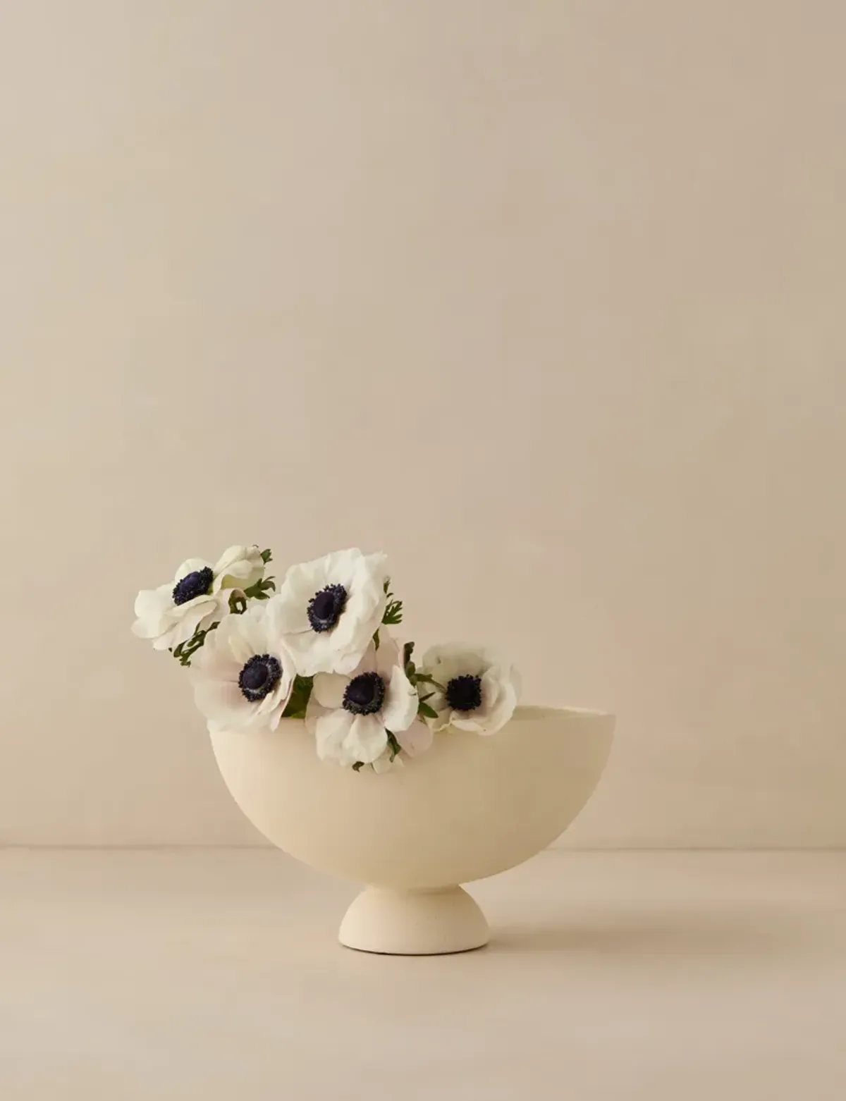 Donato Bowl