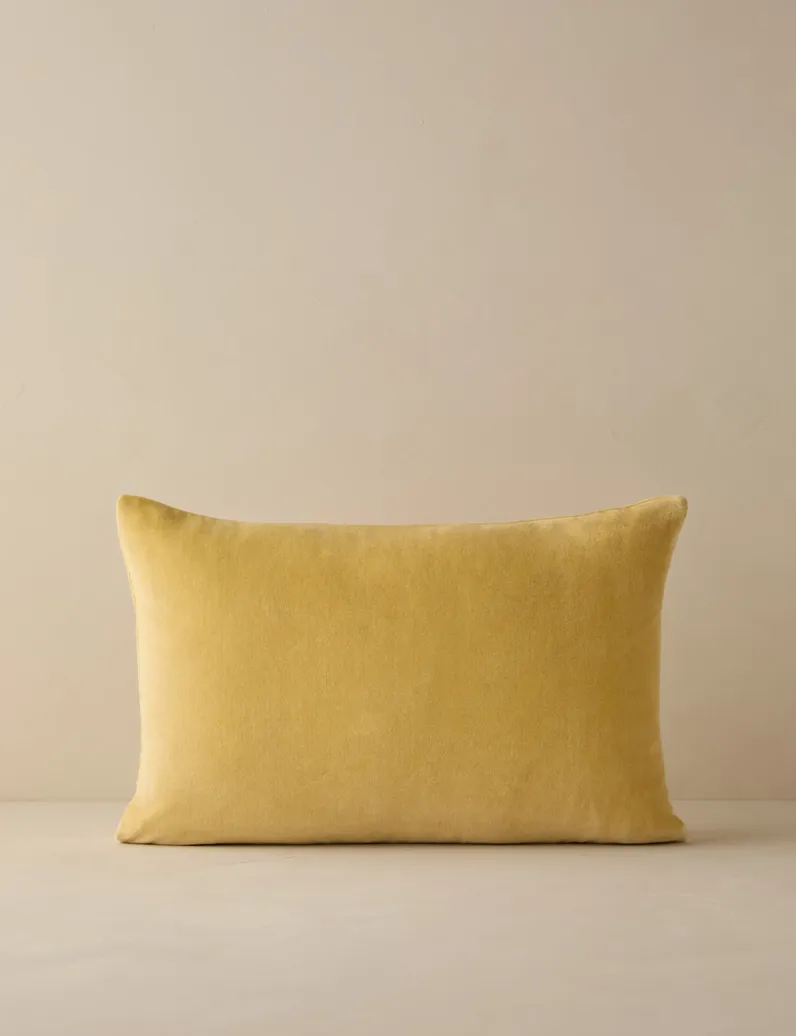 Charlotte Velvet Pillow