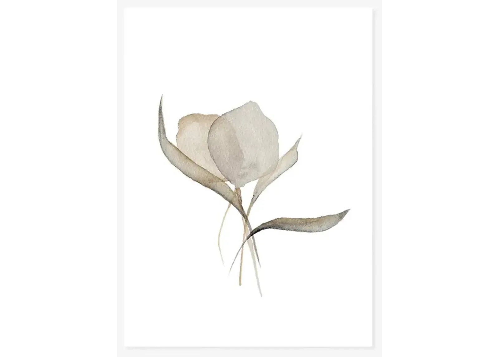 Pale Bouquet Print by Céline Nordenhed