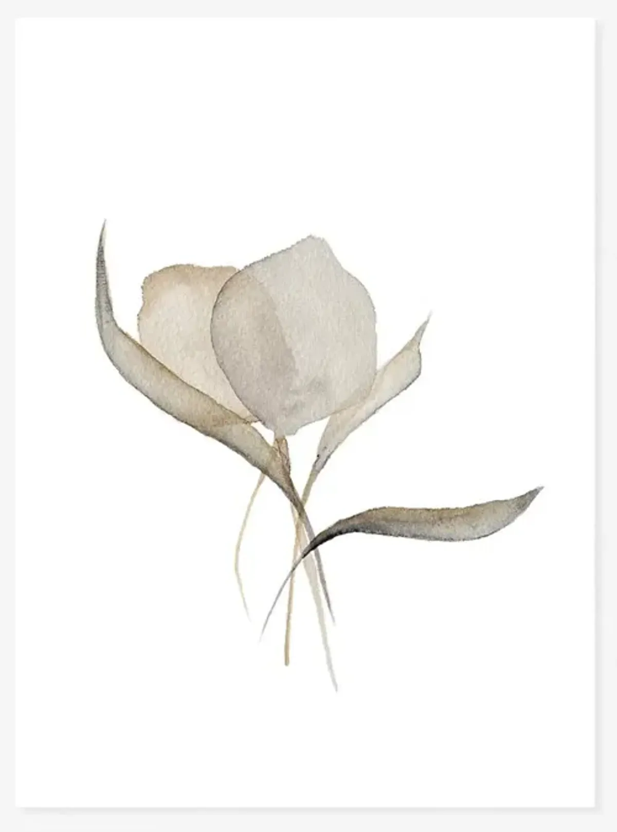 Pale Bouquet Print by Céline Nordenhed