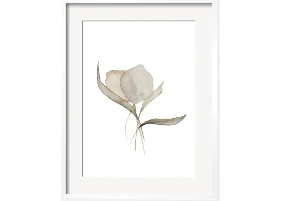 Pale Bouquet Print by Céline Nordenhed