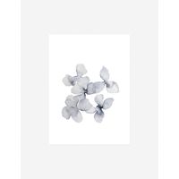 Frozen Leaves Print by Céline Nordenhed