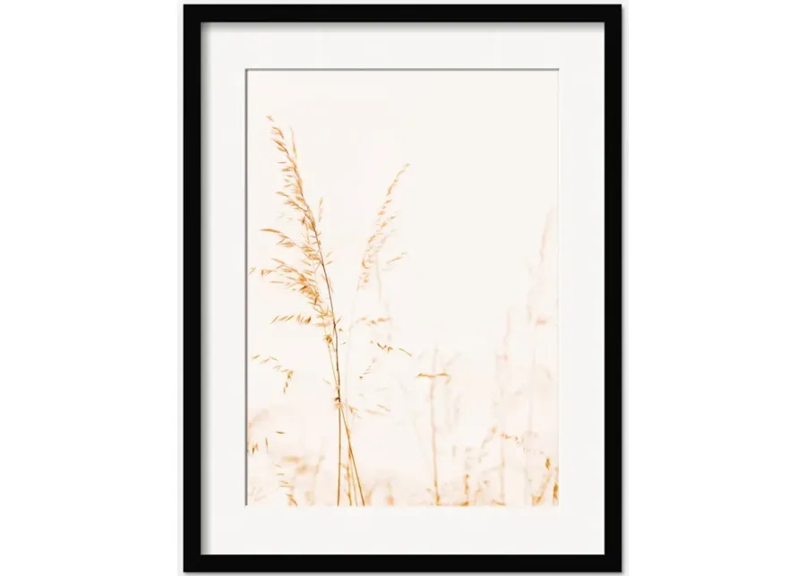 Wild Grass Photography Print by Ingrid Beddoes