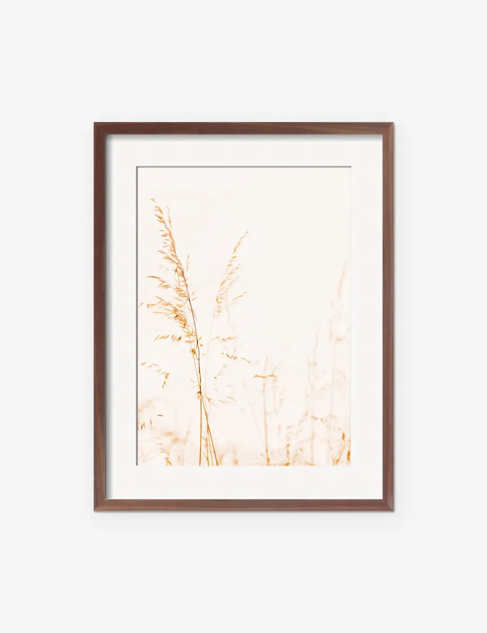 Wild Grass Photography Print by Ingrid Beddoes