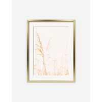 Wild Grass Photography Print by Ingrid Beddoes