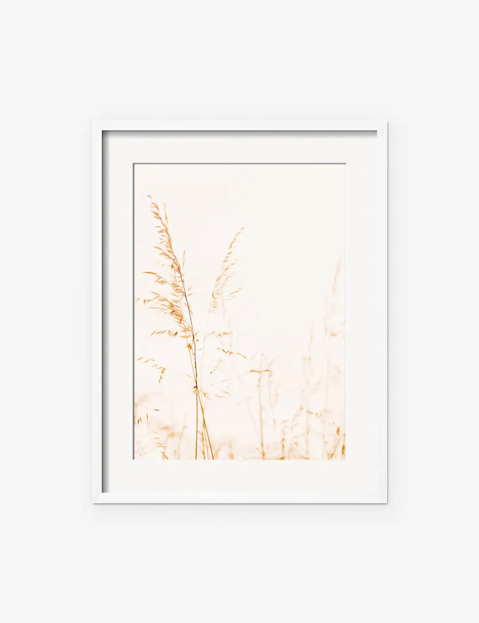 Wild Grass Photography Print by Ingrid Beddoes