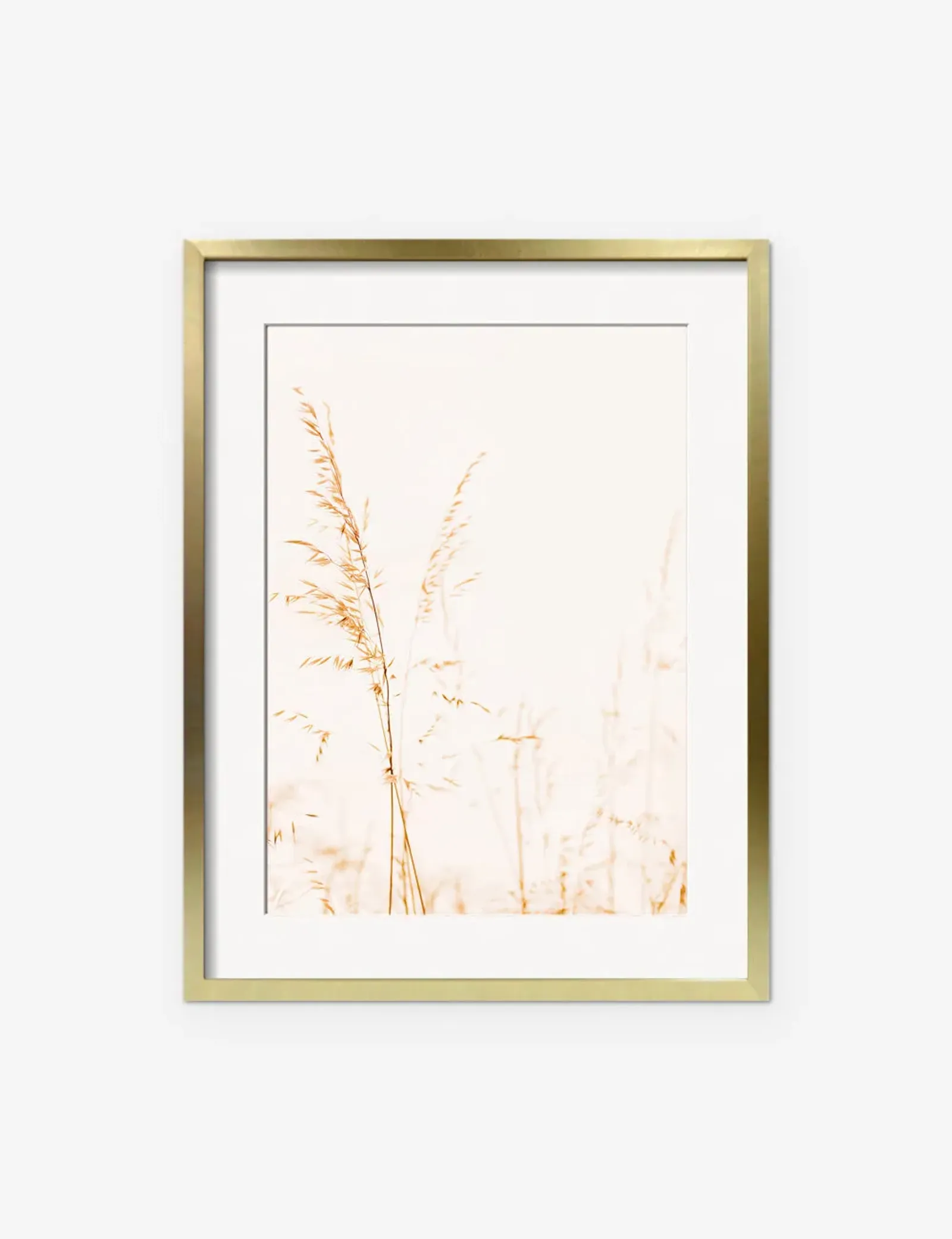 Wild Grass Photography Print by Ingrid Beddoes