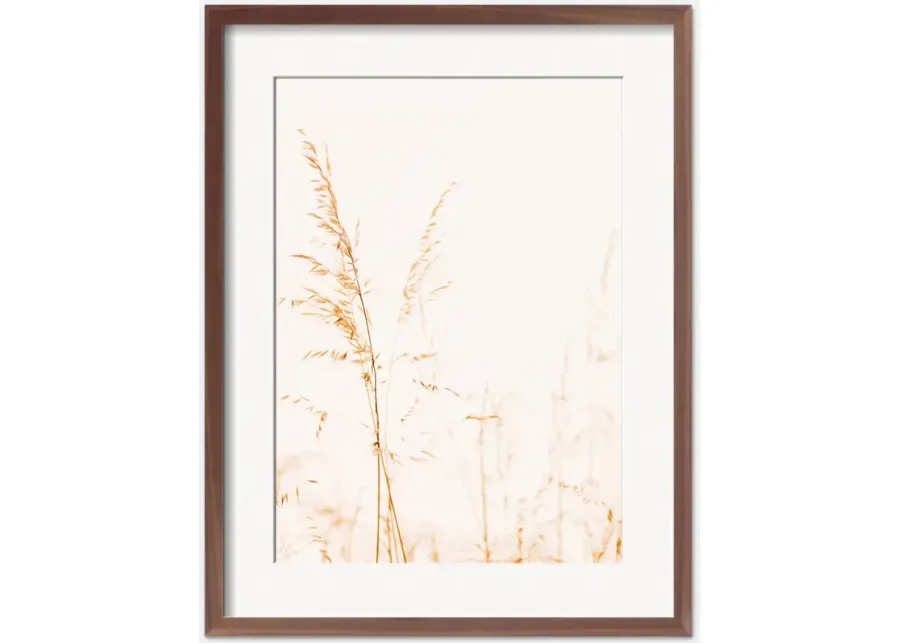 Wild Grass Photography Print by Ingrid Beddoes