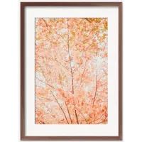 Pastel Fall Tree Photography Print by Ingrid Beddoes