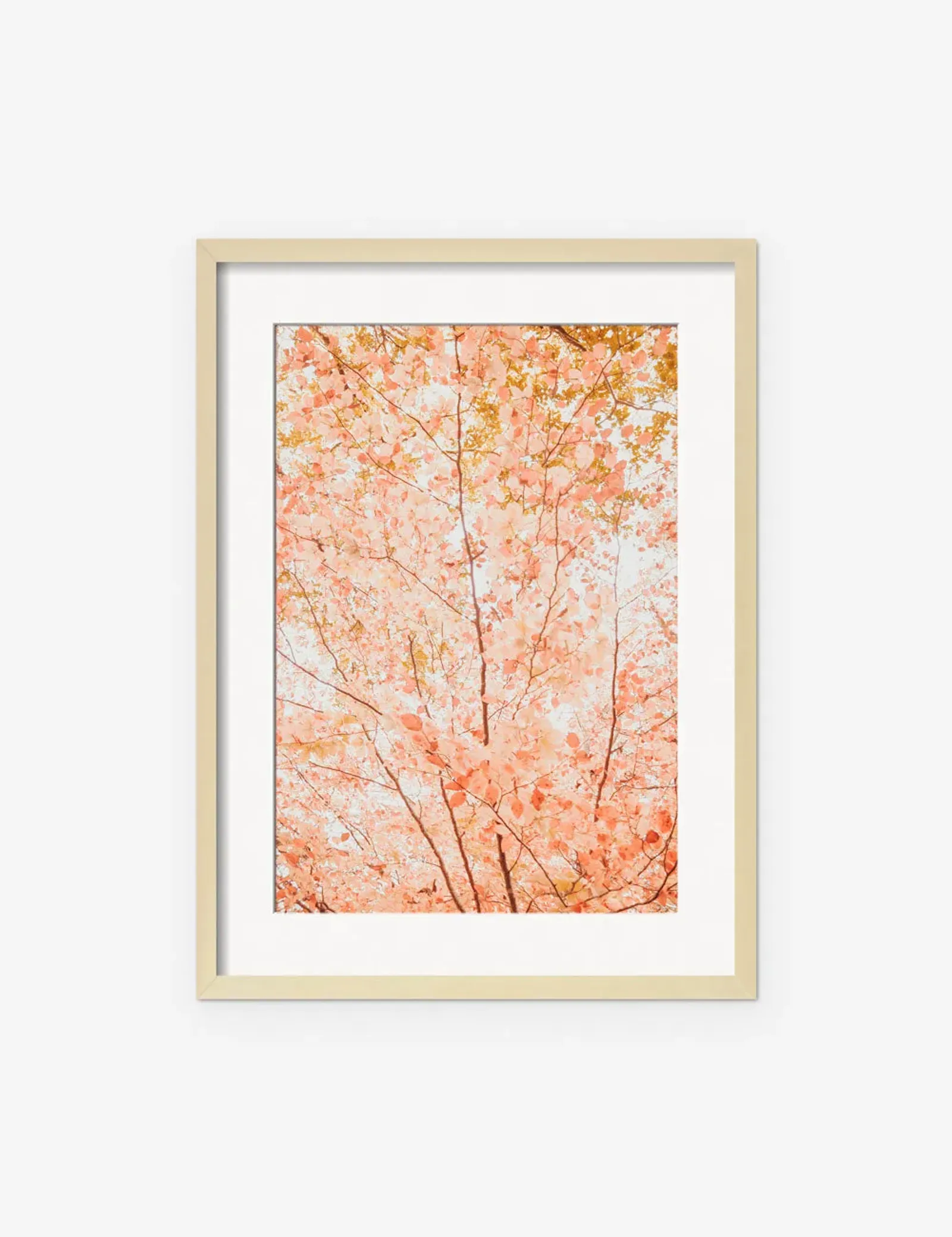 Pastel Fall Tree Photography Print by Ingrid Beddoes