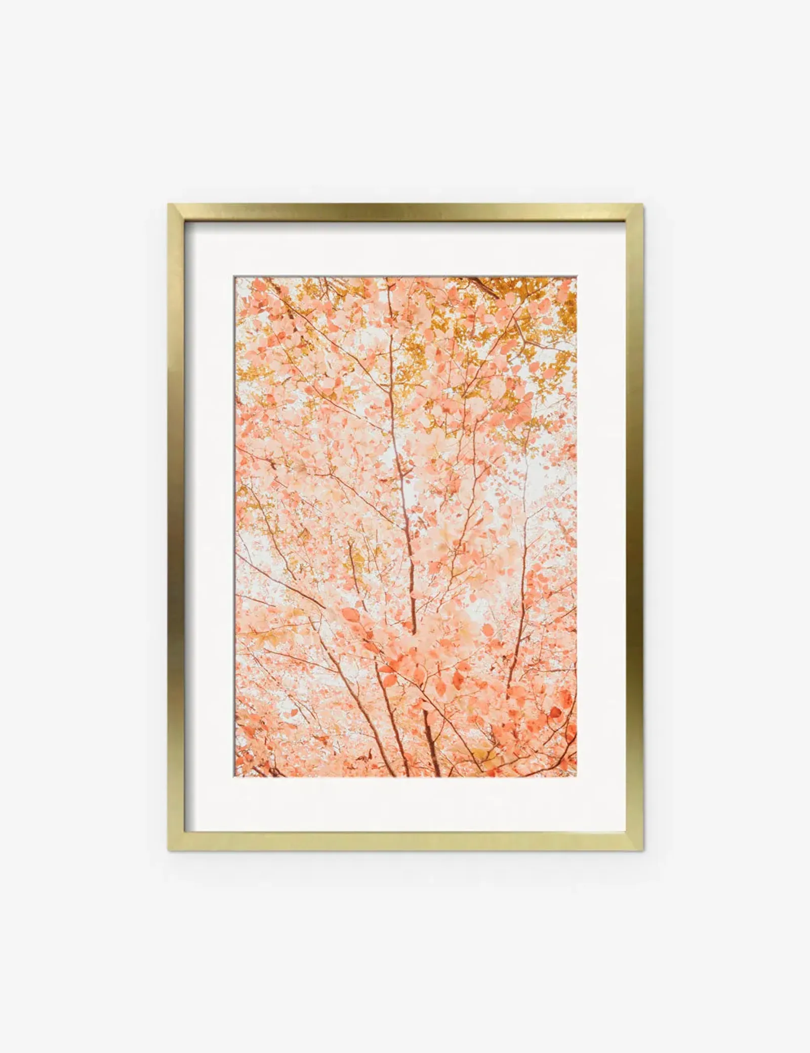 Pastel Fall Tree Photography Print by Ingrid Beddoes