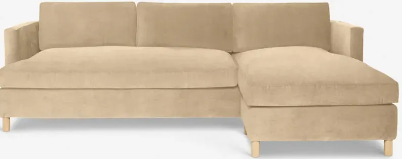 Belmont Sectional Sofa by Ginny Macdonald