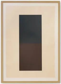 Indigo and Black color