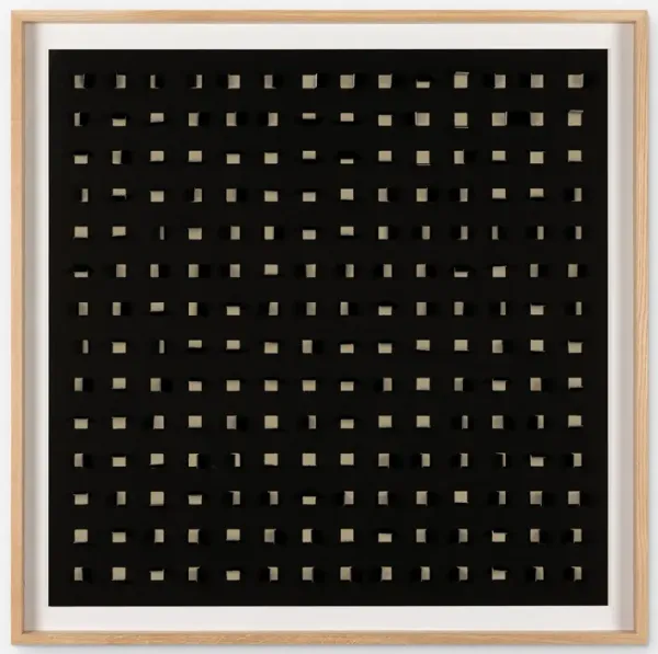 See Through Wall Art