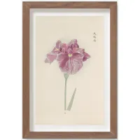 Vintage Japanese Iris No. 24 Wall Art by Miyoshi Manabu