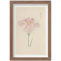 Vintage Japanese Iris No. 20 Wall Art by Miyoshi Manabu