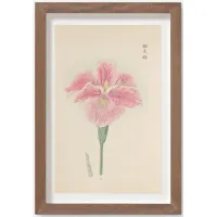 Vintage Japanese Iris No. 49 Wall Art by Miyoshi Manabu