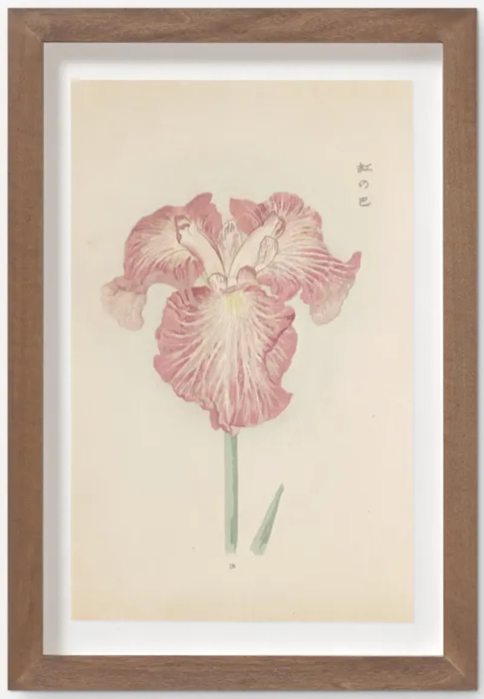 Vintage Japanese Iris No. 18 Wall Art by Miyoshi Manabu