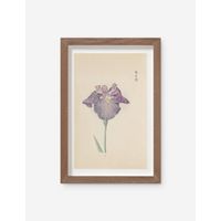 Vintage Japanese Iris No. 29 Wall Art by Miyoshi Manabu