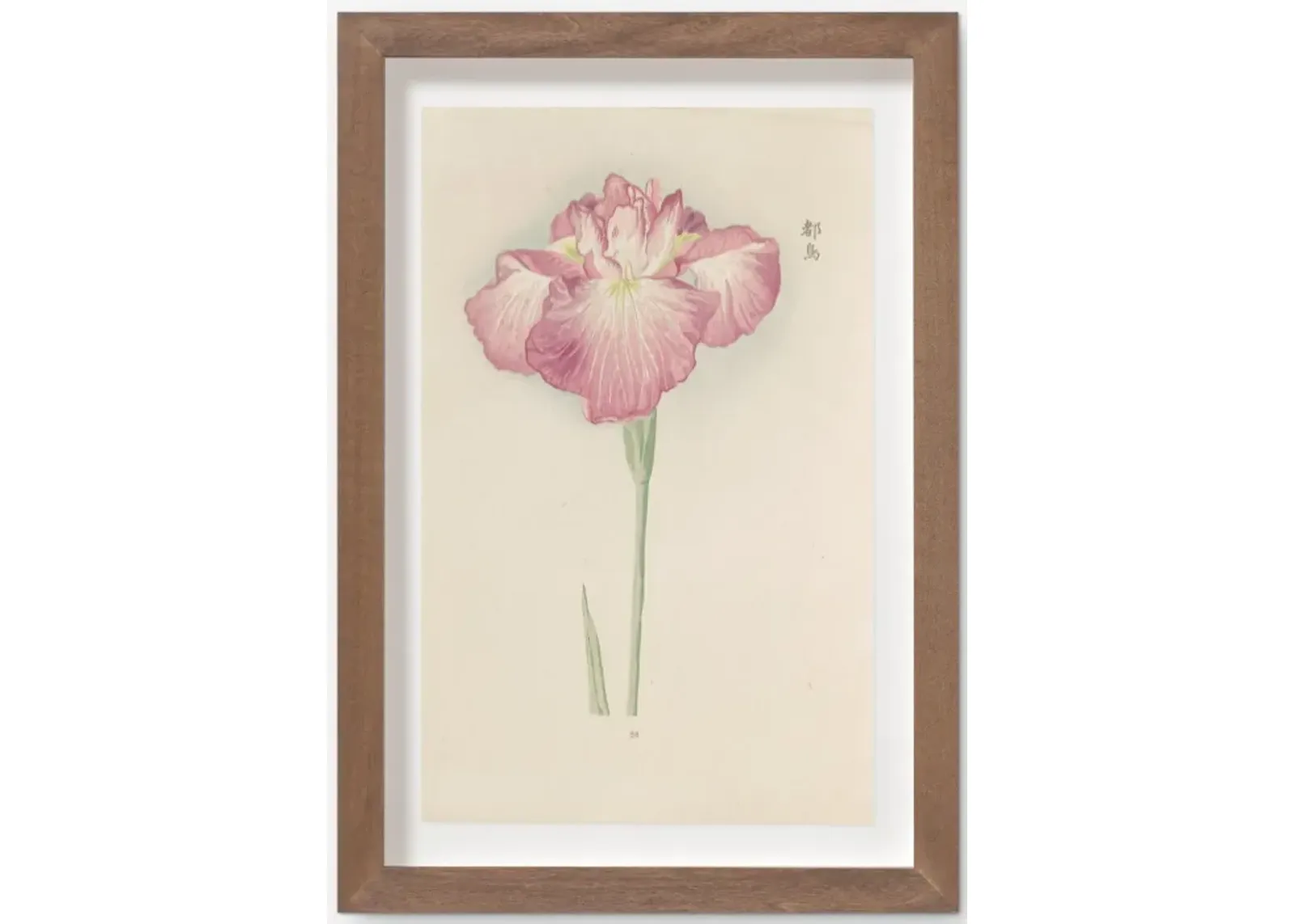 Vintage Japanese Iris No. 26 Wall Art by Miyoshi Manabu