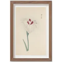 Vintage Japanese Iris No. 31 Wall Art by Miyoshi Manabu