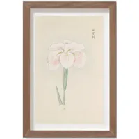 Vintage Japanese Iris No. 48 Wall Art by Miyoshi Manabu
