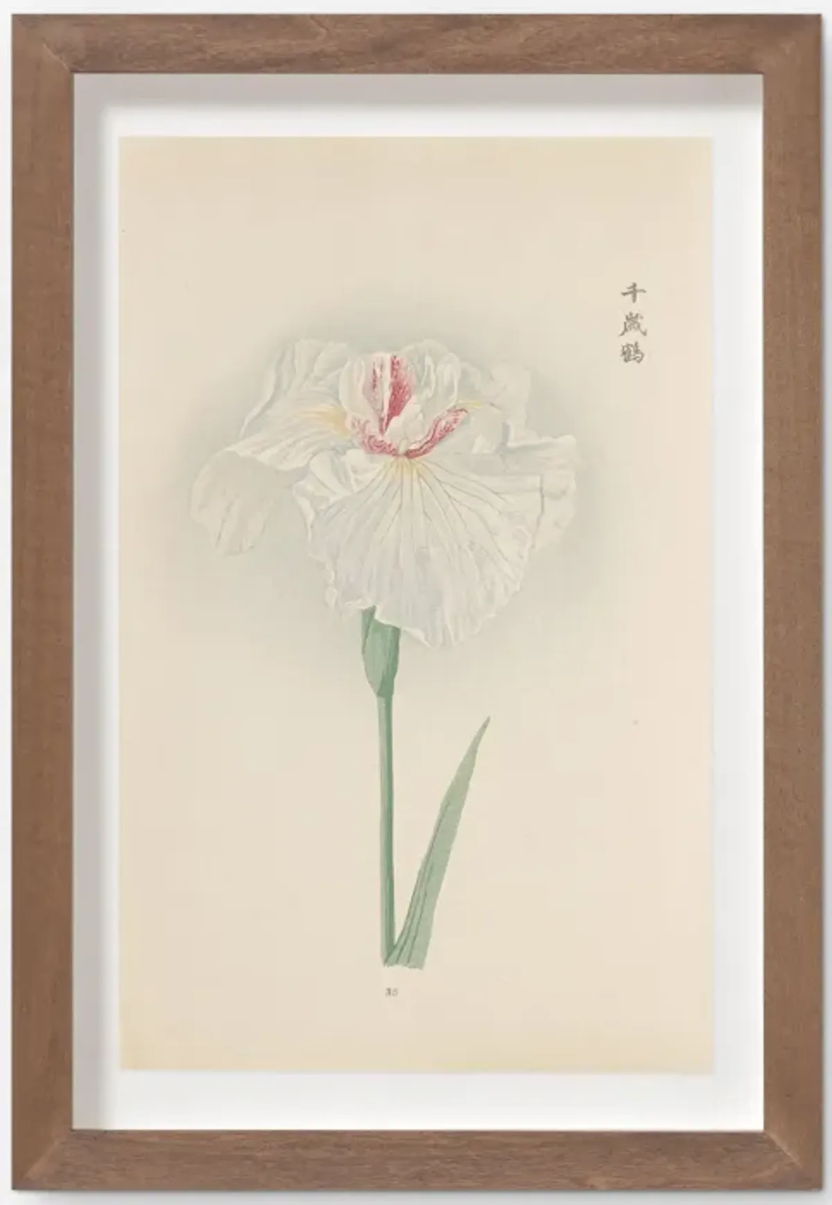 Vintage Japanese Iris No. 35 Wall Art by Miyoshi Manabu