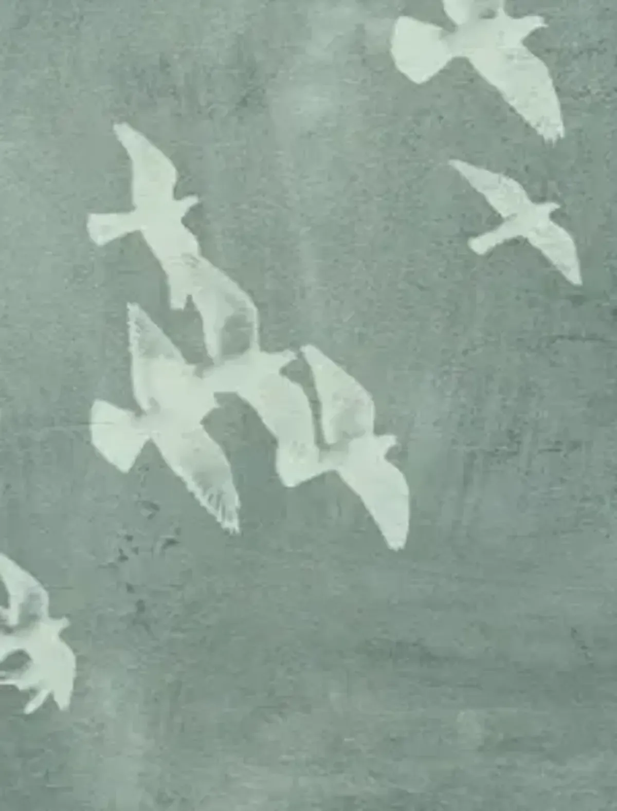Migratory Pattern 2 Wall Art