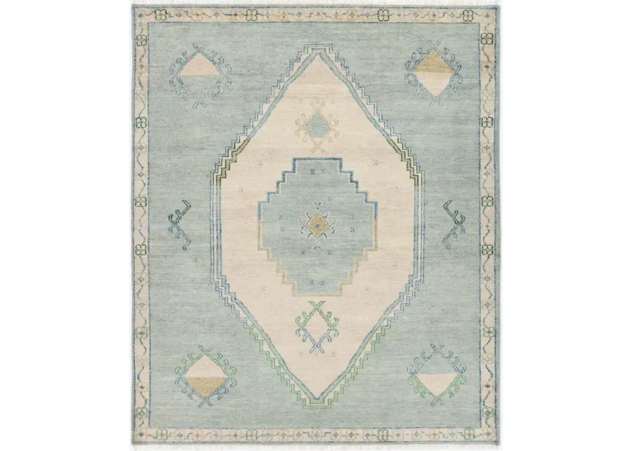 Berker Hand-Knotted Wool Rug