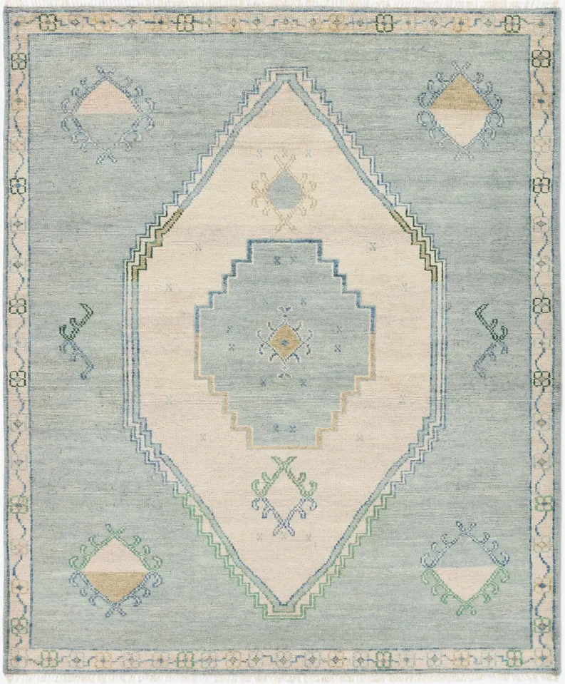 Berker Hand-Knotted Wool Rug