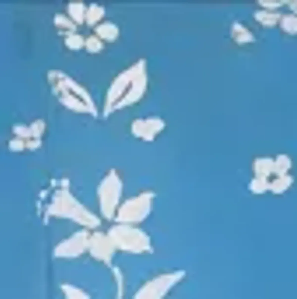 Birds and Flowers Print by Paule Marrot