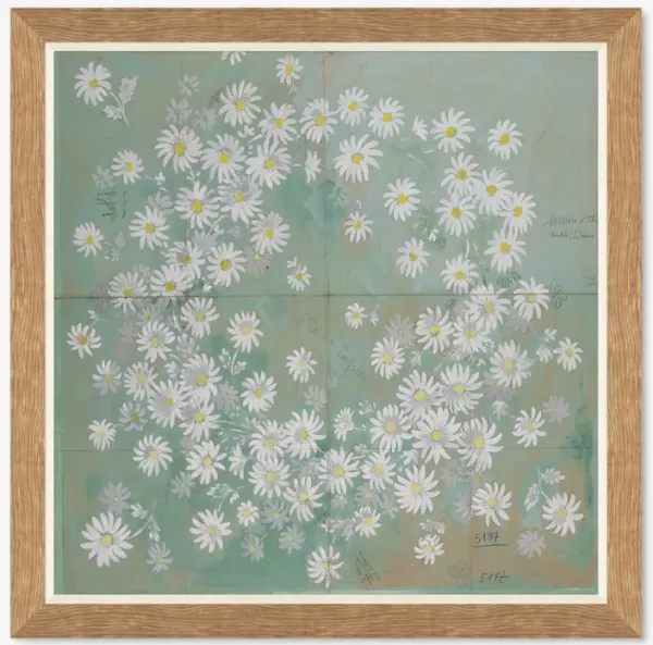 Daisies Print by Paule Marrot