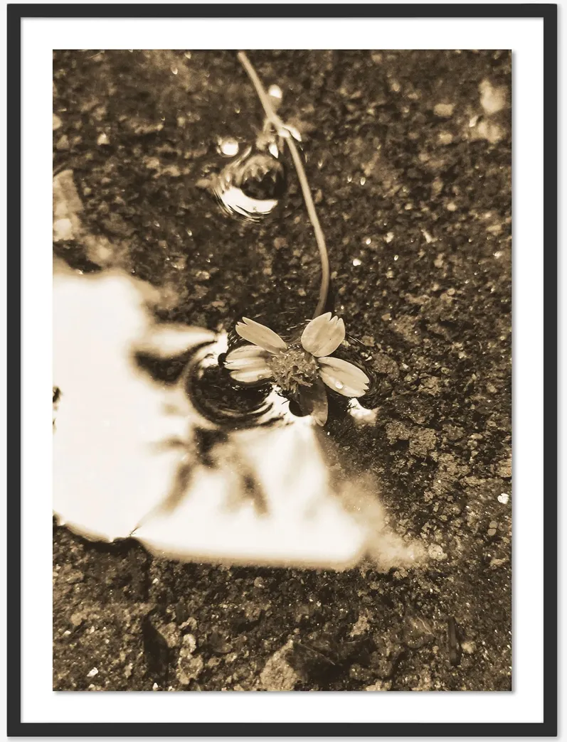 After The Rain II Photography Print by Getty Images
