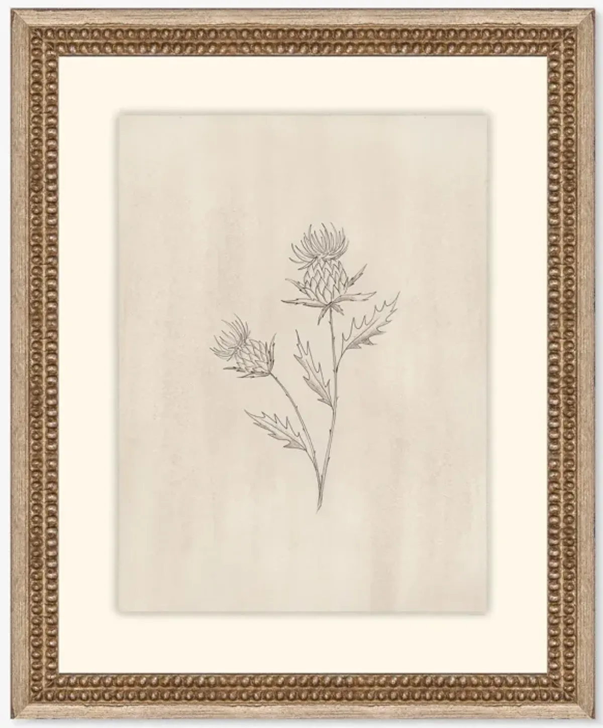 Elegant Botanical V Wall Art by Makai Howell