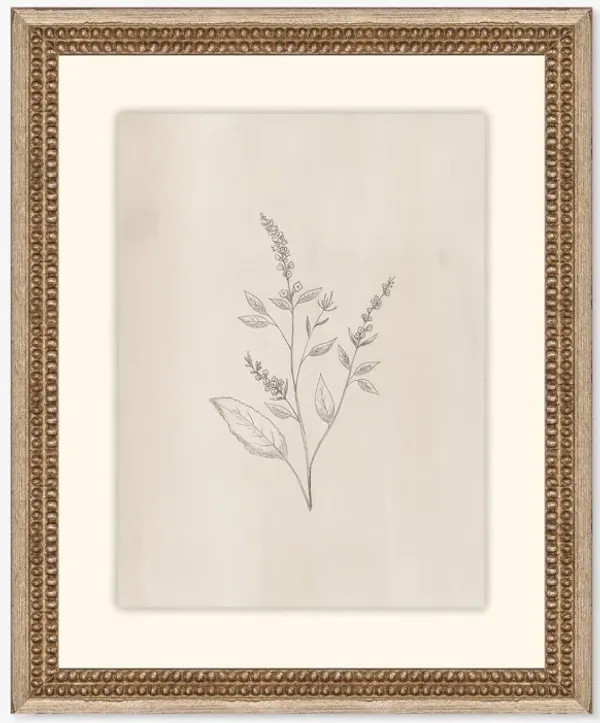 Elegant Botanical VI Wall Art by Makai Howell
