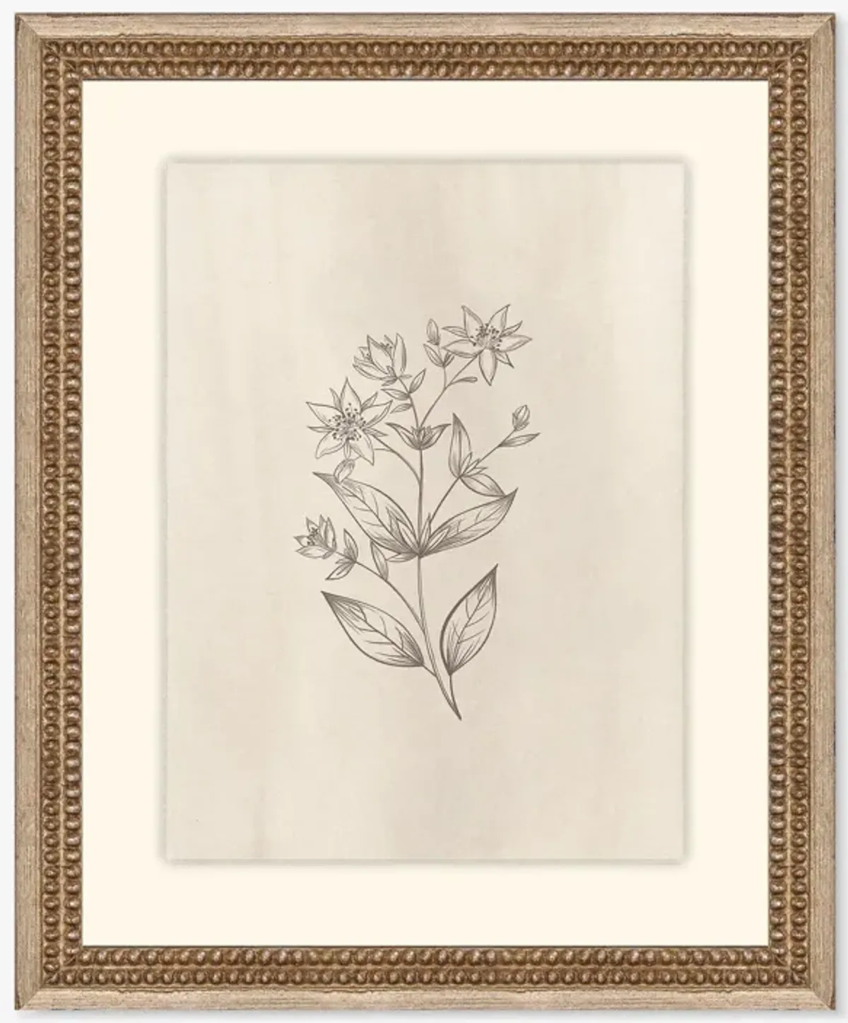 Elegant Botanical VII Wall Art by Makai Howell