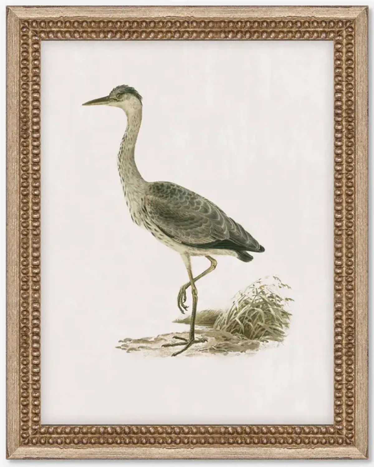 Heron Friend II Wall Art by Old World