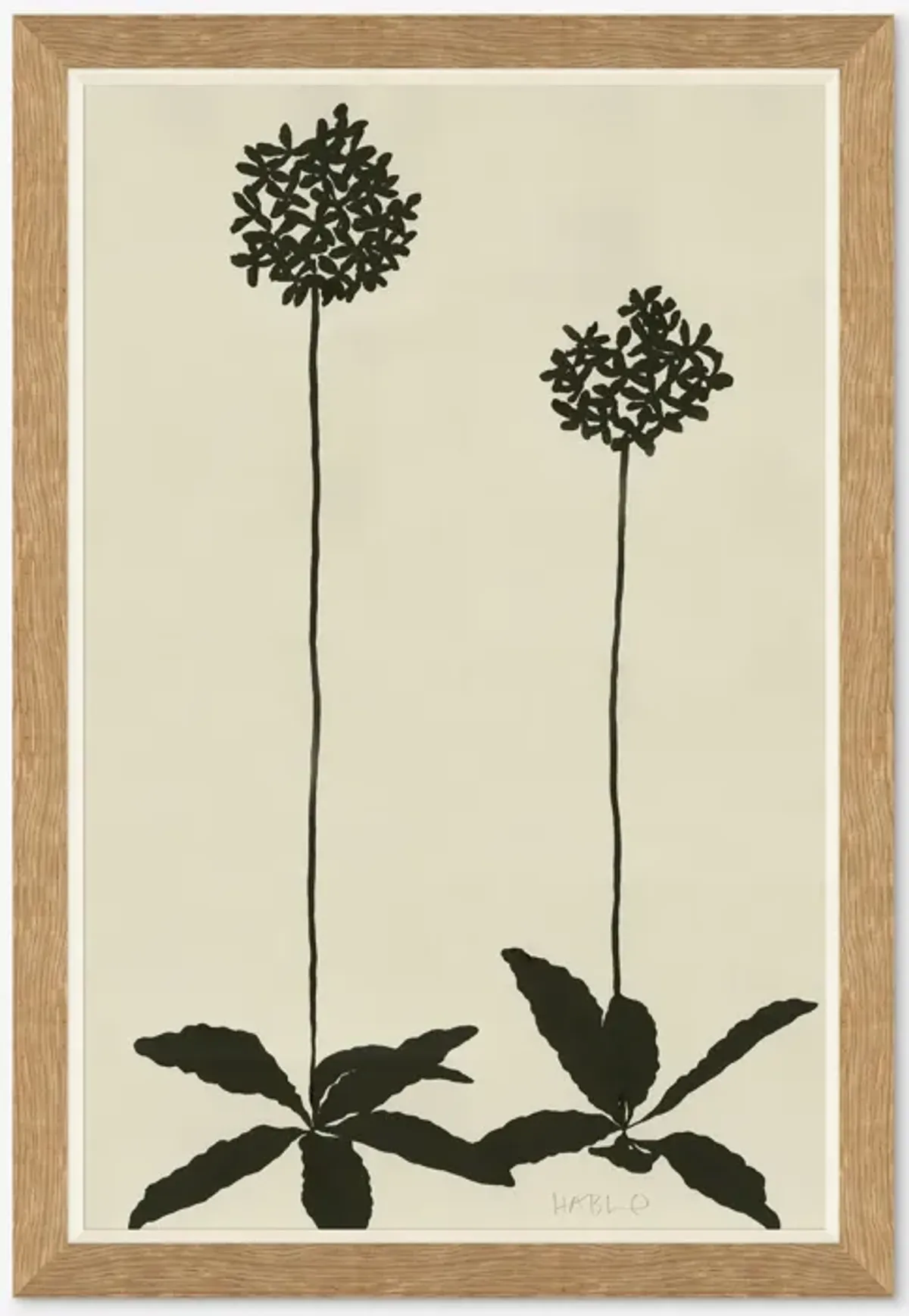 Allium Wall Art by Susan Hable