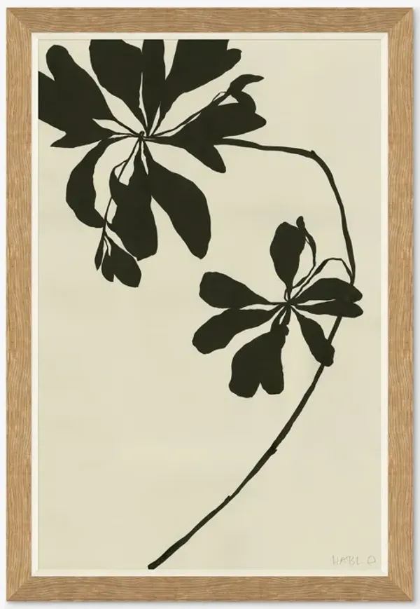 Mediterranean By Susan Hable