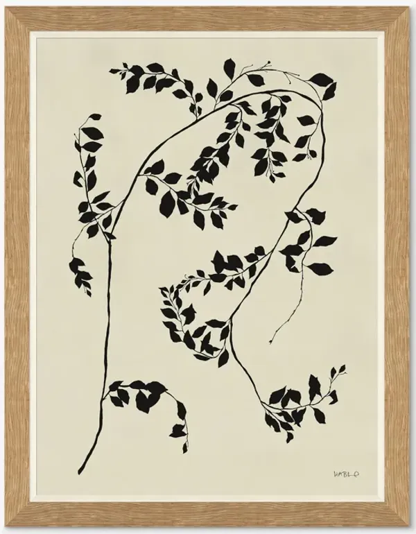 Smylax By Susan Hable