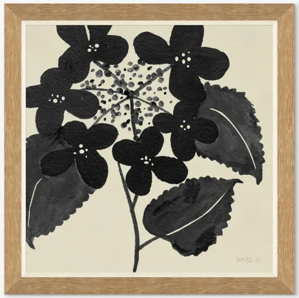 Hydrangea By Susan Hable