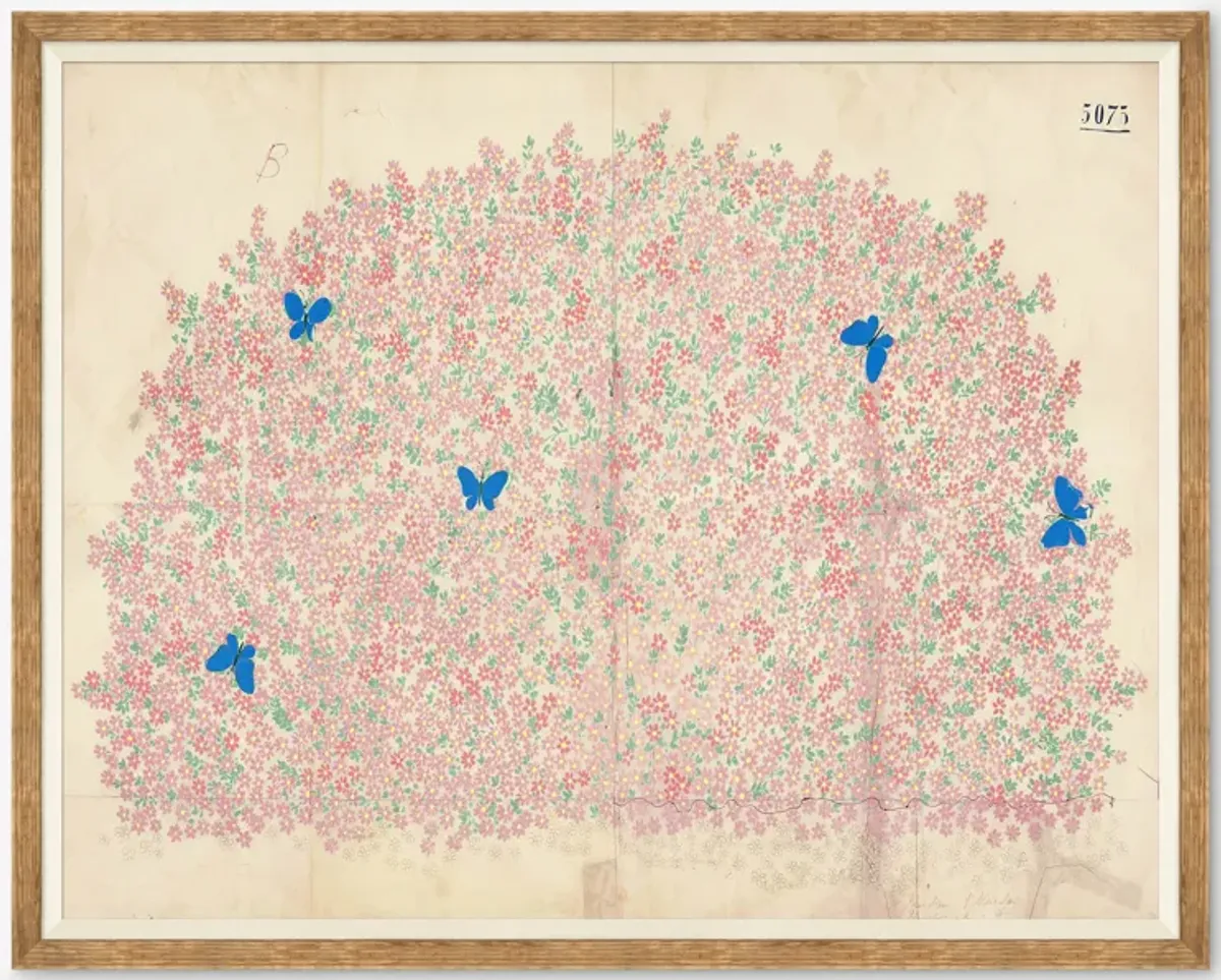 Myosotis Print by Paule Marrot