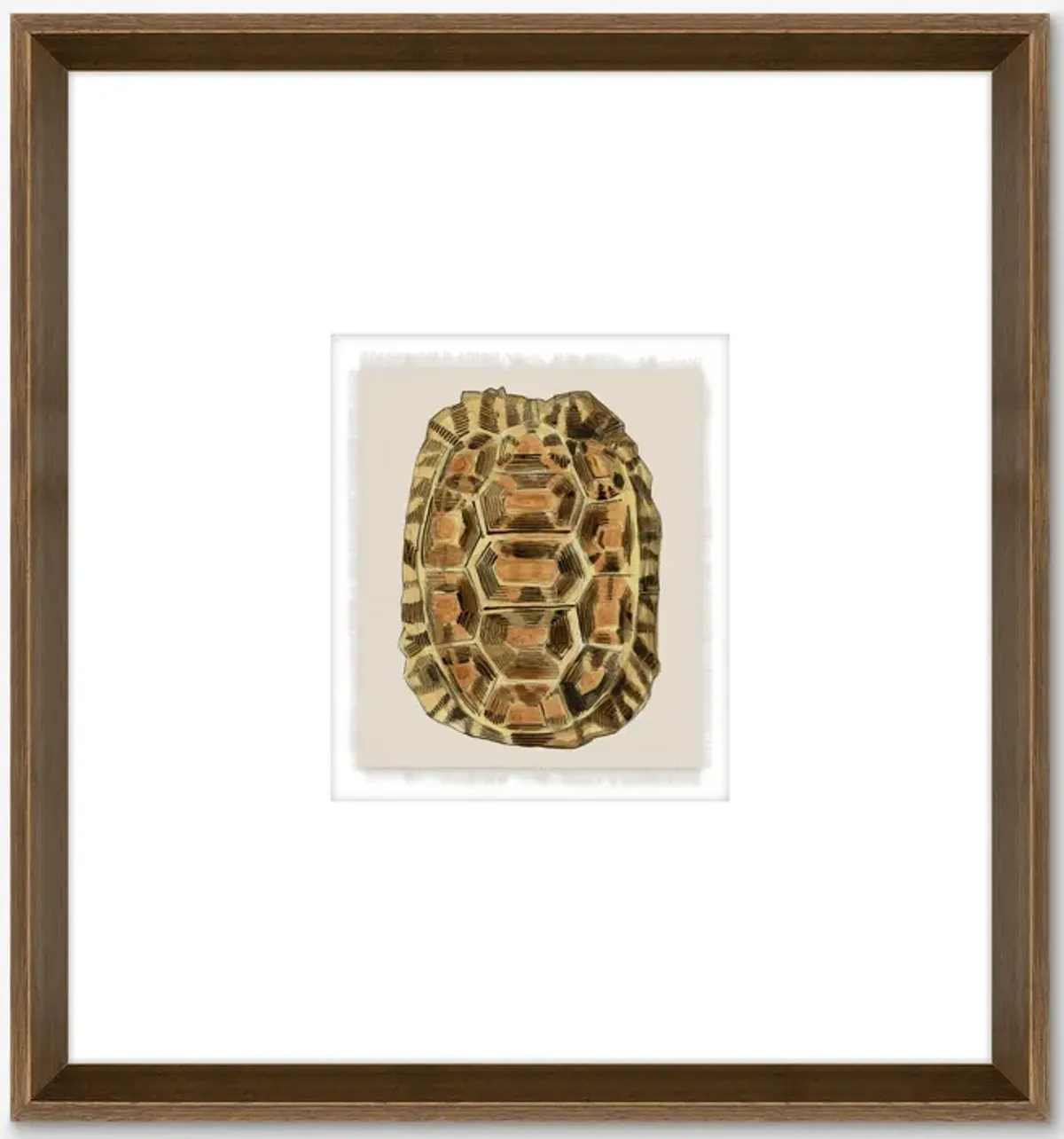 Lost and Found IV Wall Art by Allison Cosmos