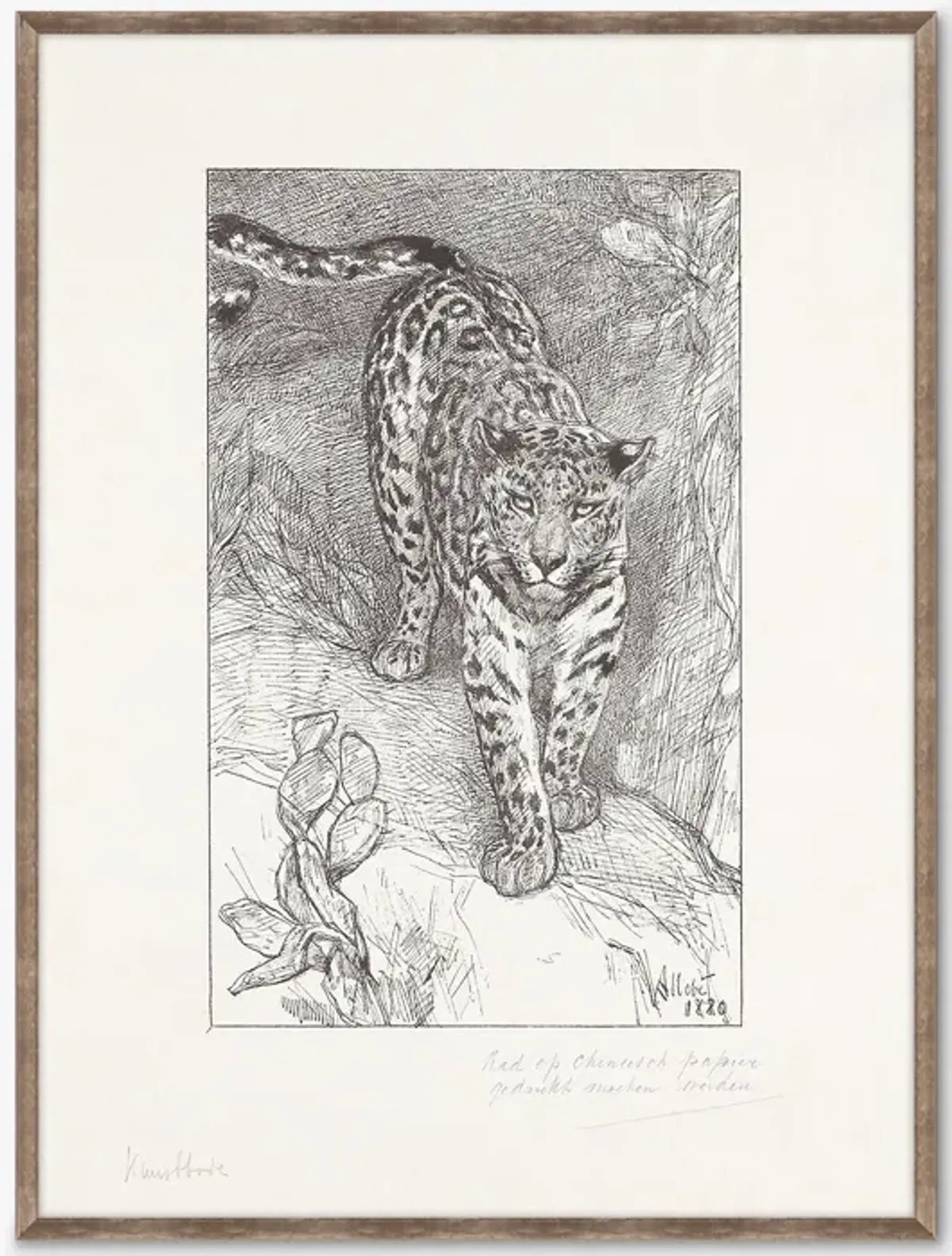 Luipaard Wall Art by Alex Zane