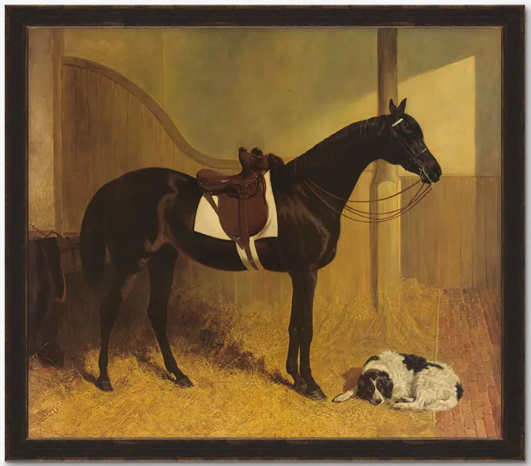 Horse I Wall Art by Heidi Caillier