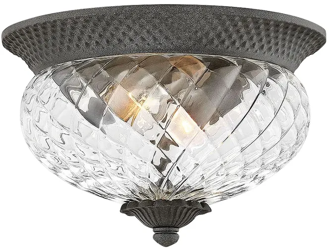 Hinkley Plantation 12" Wide 2-Light Black Outdoor Ceiling Light